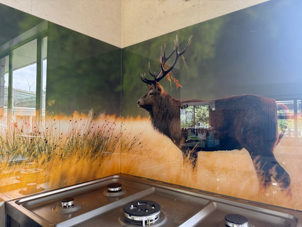 Stag picture Splashback like lucy G but made by Escape Glass