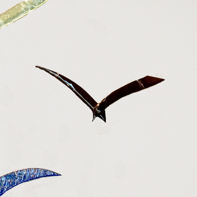 Grey Sea Birds