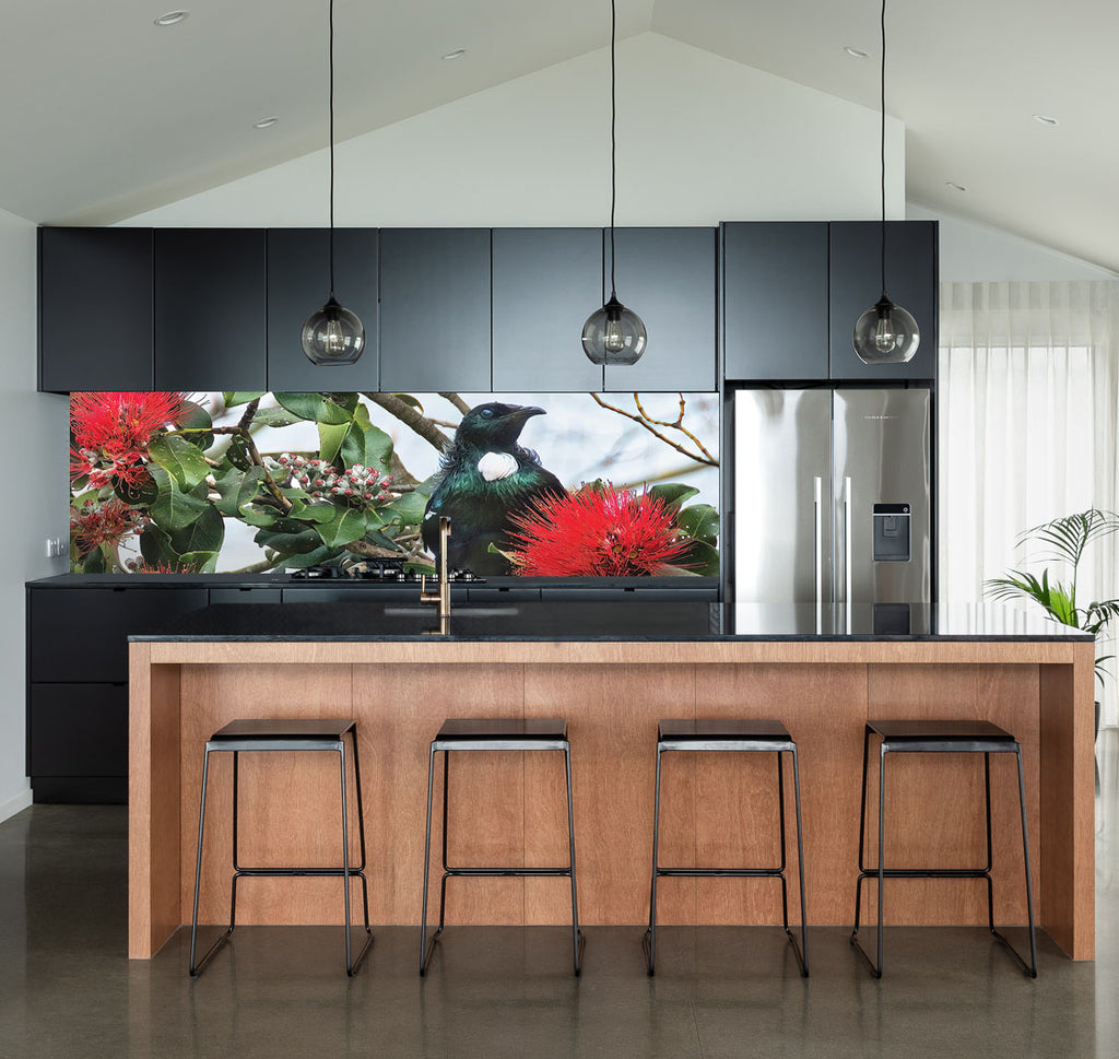 Tui in the bush splashback image