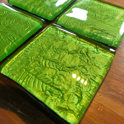 Flax and Fern set of 4 coasters Green