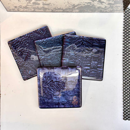Twilighht Flax and Fern set of 4 coasters