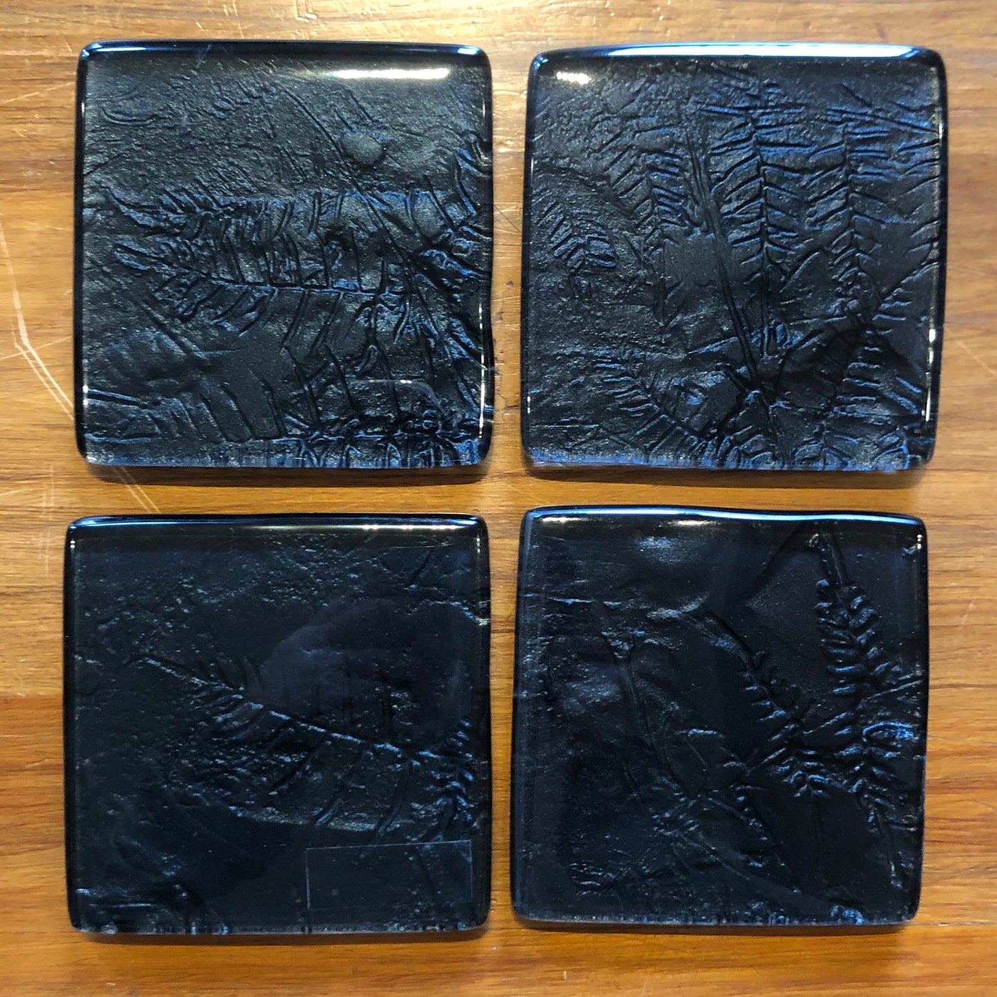 Black Fern Coasters - Set of 4